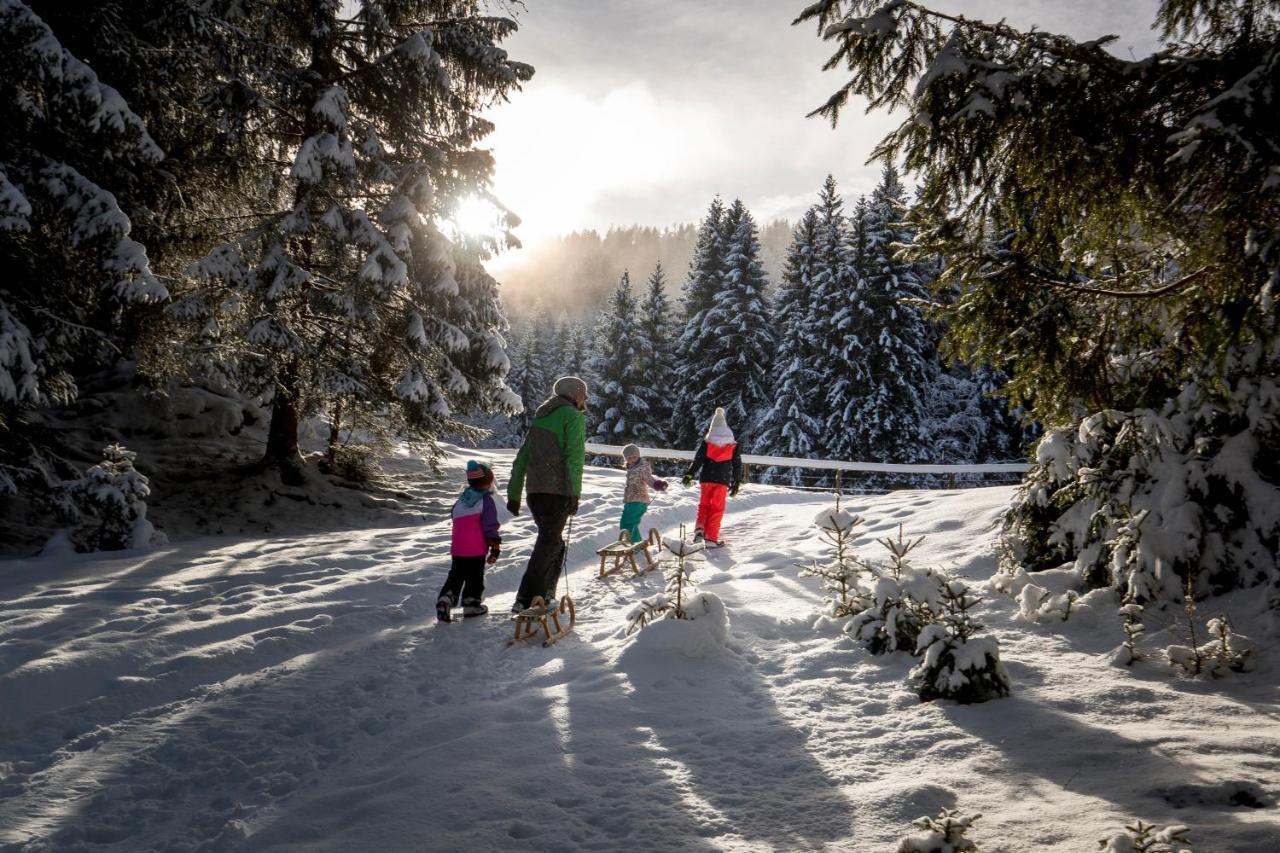 Naturpark Hütte Mandl, Biobauernhof&Hüttenurlaub Sankt Lambrecht Exterior foto