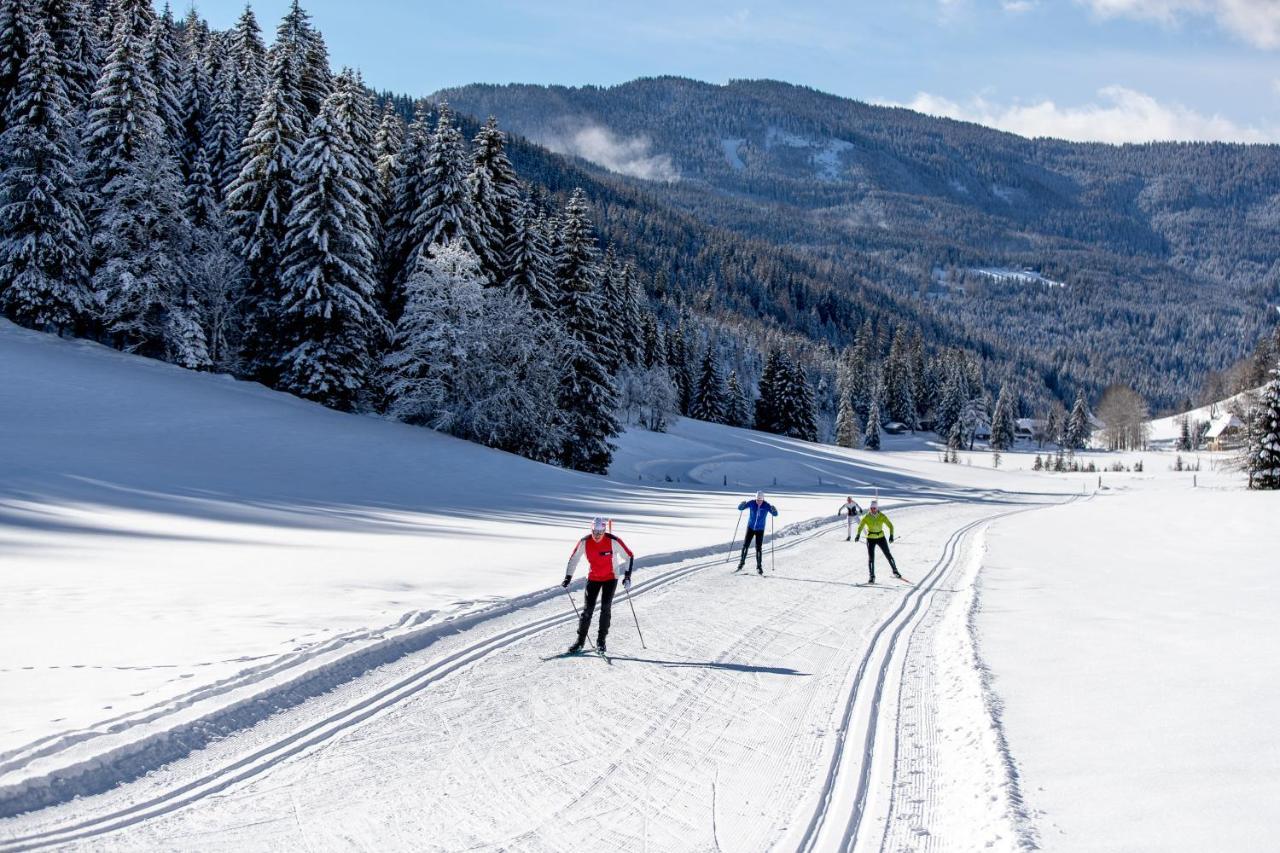 Naturpark Hütte Mandl, Biobauernhof&Hüttenurlaub Sankt Lambrecht Exterior foto